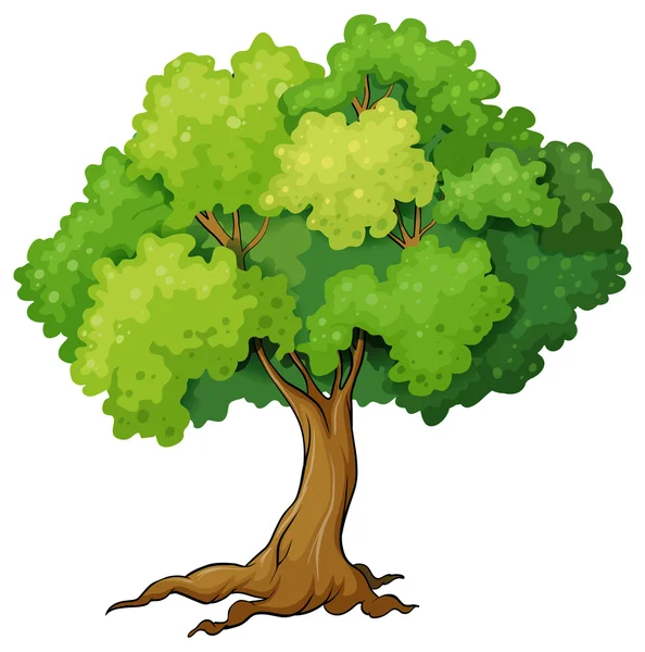 depositphotos_56876431-stock-illustration-tree